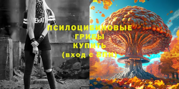 соль курить ск Богданович
